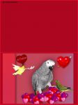 carte-st-valentin-1.jpg